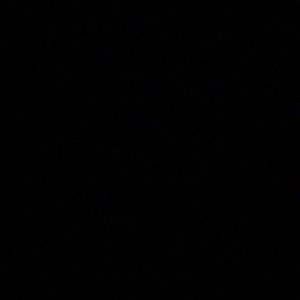 Meet your Posher, Daisy